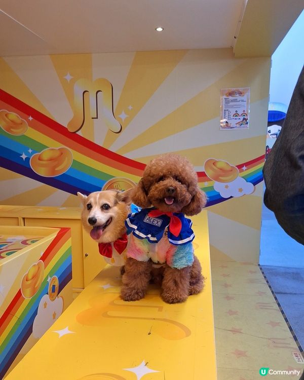 維港新年🥳勁好玩！🐶🥰