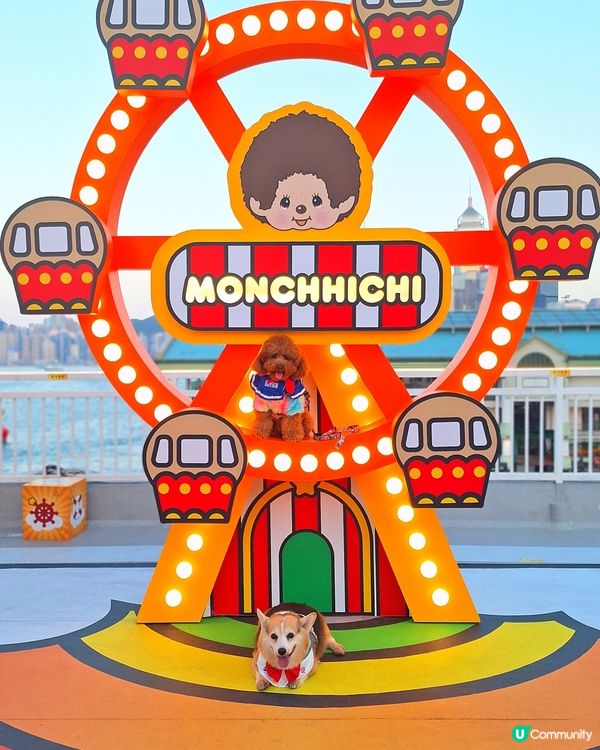 維港新年🥳勁好玩！🐶🥰