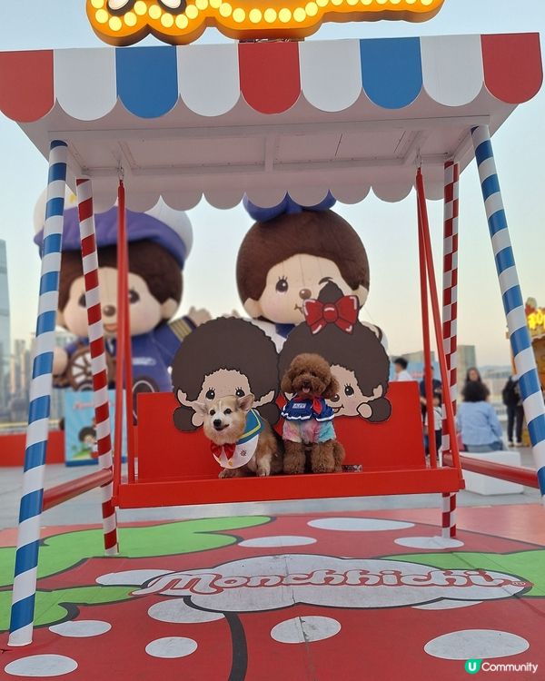 維港新年🥳勁好玩！🐶🥰