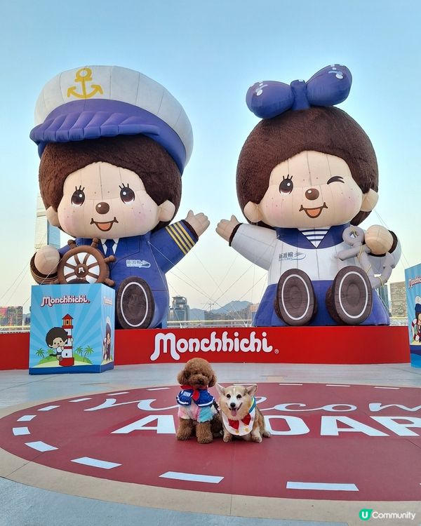 維港新年🥳勁好玩！🐶🥰