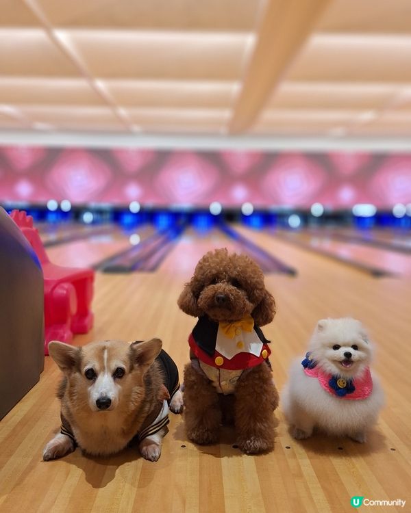 啟德賀歲🥳 | 女神共聚歡樂多💸