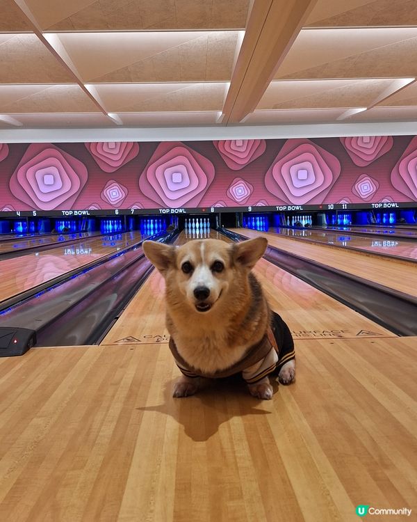 啟德賀歲🥳 | 女神共聚歡樂多💸