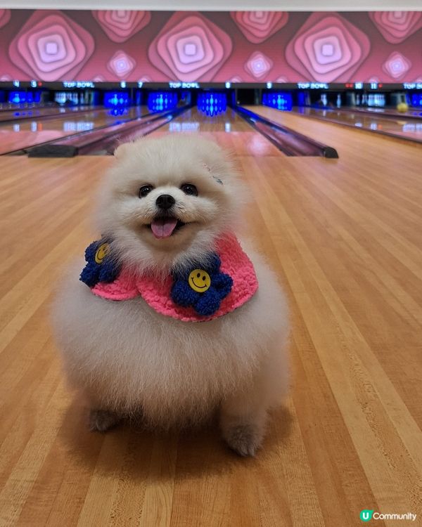 啟德賀歲🥳 | 女神共聚歡樂多💸