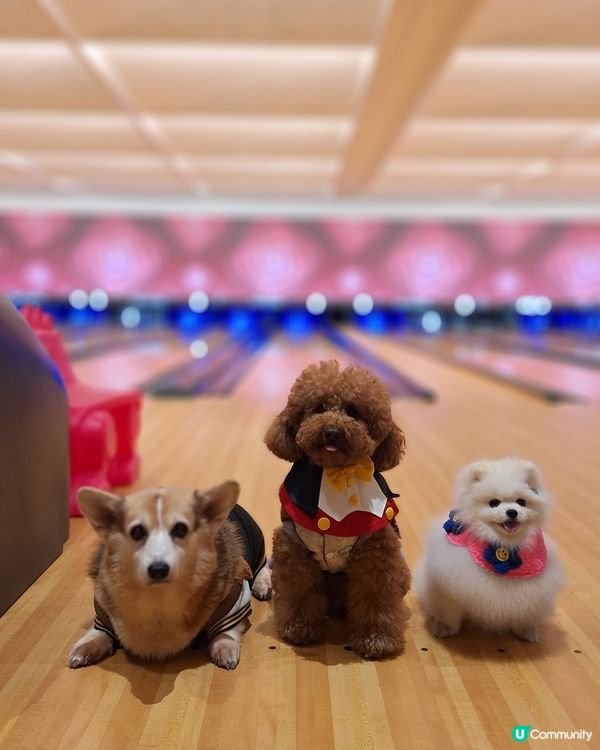 啟德賀歲🥳 | 女神共聚歡樂多💸