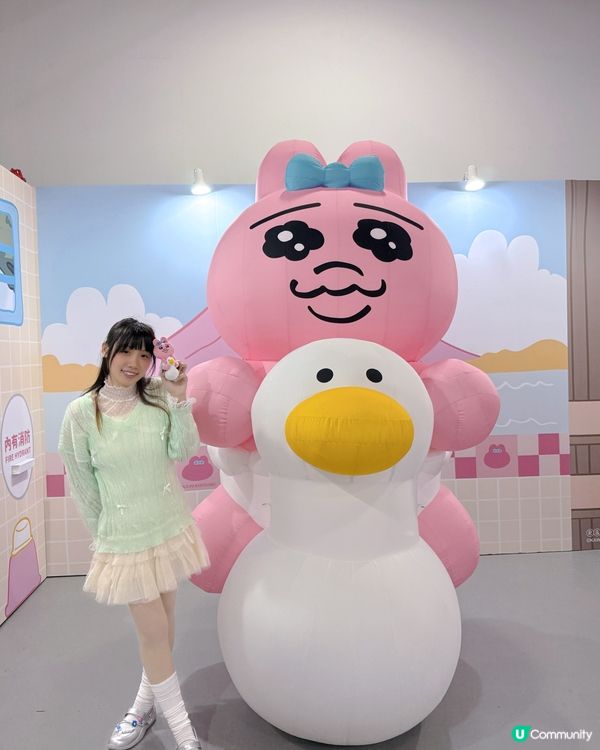 台灣限定！底褲兔快閃萌爆！🐰💖