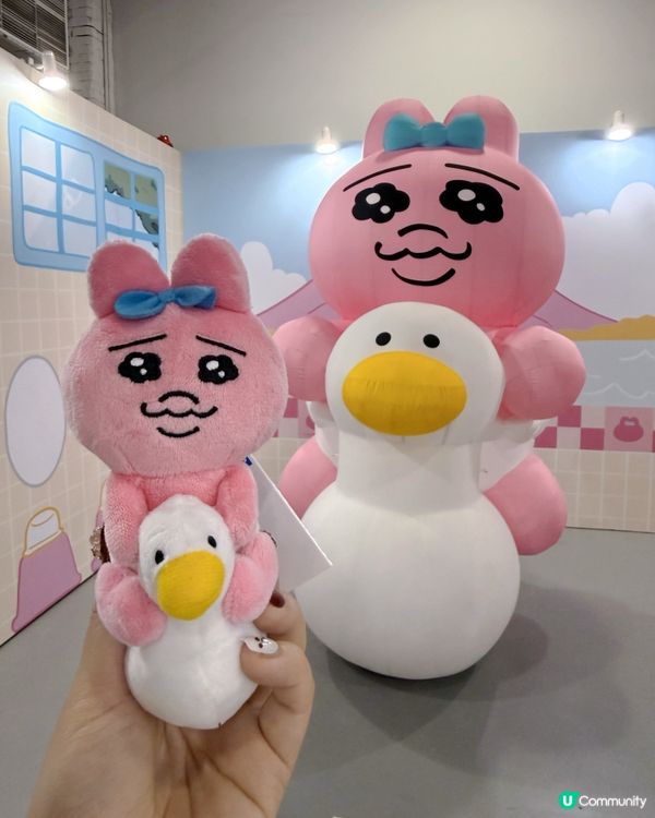 台灣限定！底褲兔快閃萌爆！🐰💖