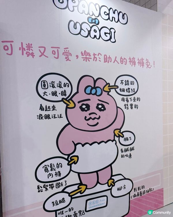 台灣限定！底褲兔快閃萌爆！🐰💖