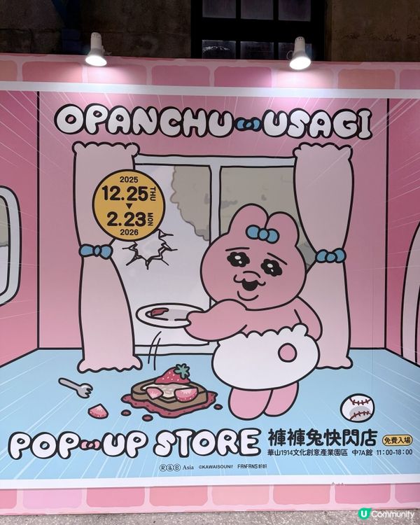 台灣限定！底褲兔快閃萌爆！🐰💖