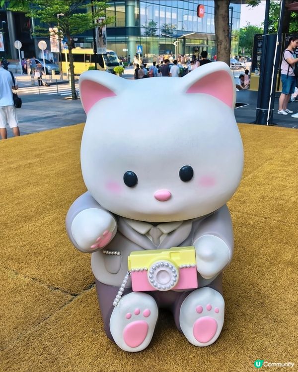 巨貓打卡必去！📸🐾