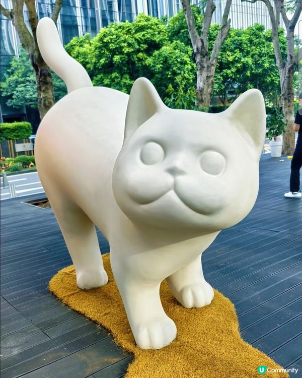 巨貓打卡必去！📸🐾