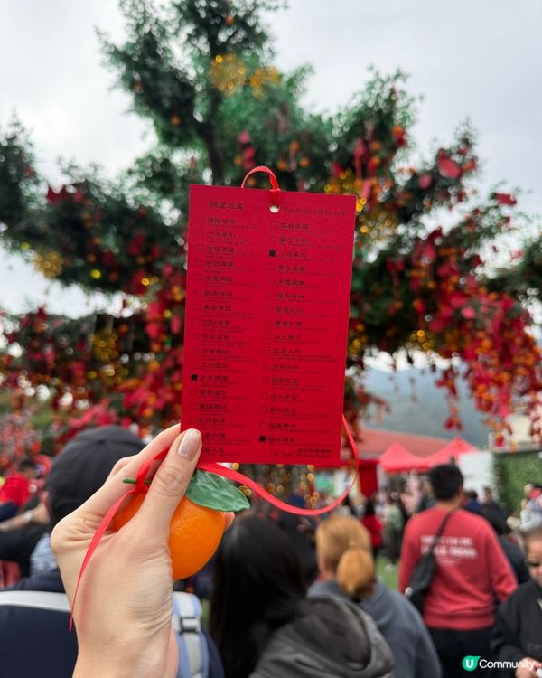 林村許願樹🌿新一年行大運！