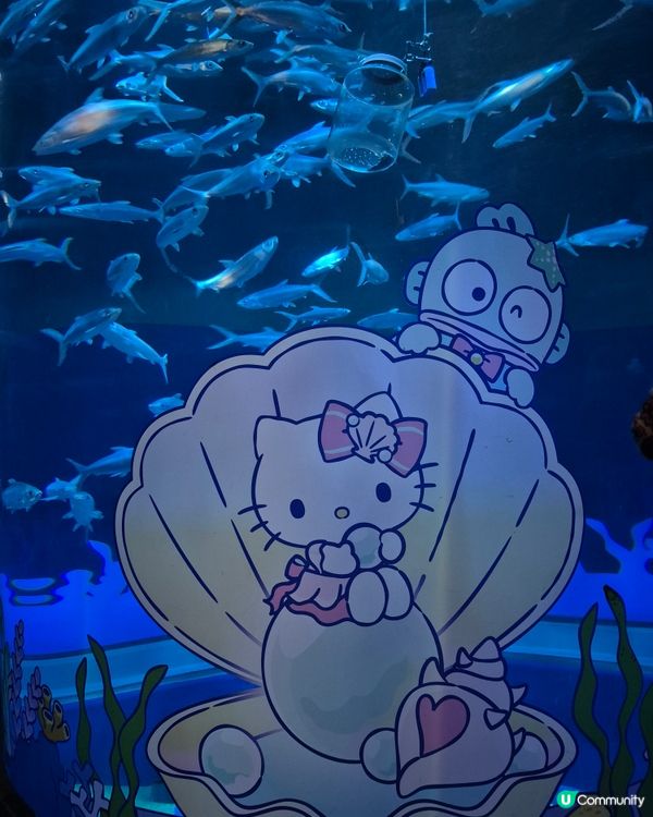 海洋公園 - Sanrio同熊貓陪你過農曆新年