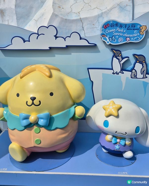 海洋公園 - Sanrio同熊貓陪你過農曆新年