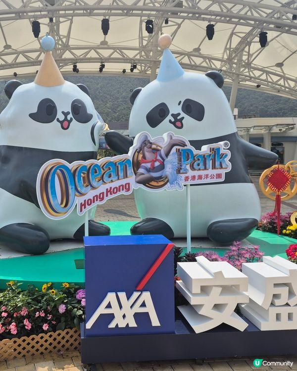 海洋公園 - Sanrio同熊貓陪你過農曆新年