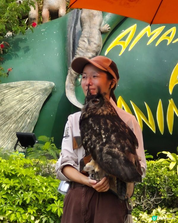 海洋公園 - Sanrio同熊貓陪你過農曆新年