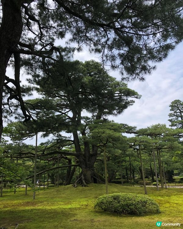 環遊日本🇯🇵｜金澤一日遊路線超詳細攻略✨