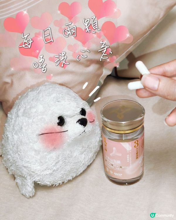 腸之菌朋友💊 - 康之森