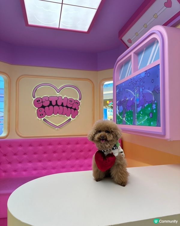 🐰新春櫻花🌸鐵道之旅