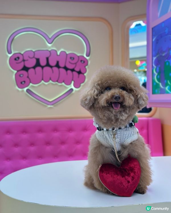 🐰新春櫻花🌸鐵道之旅