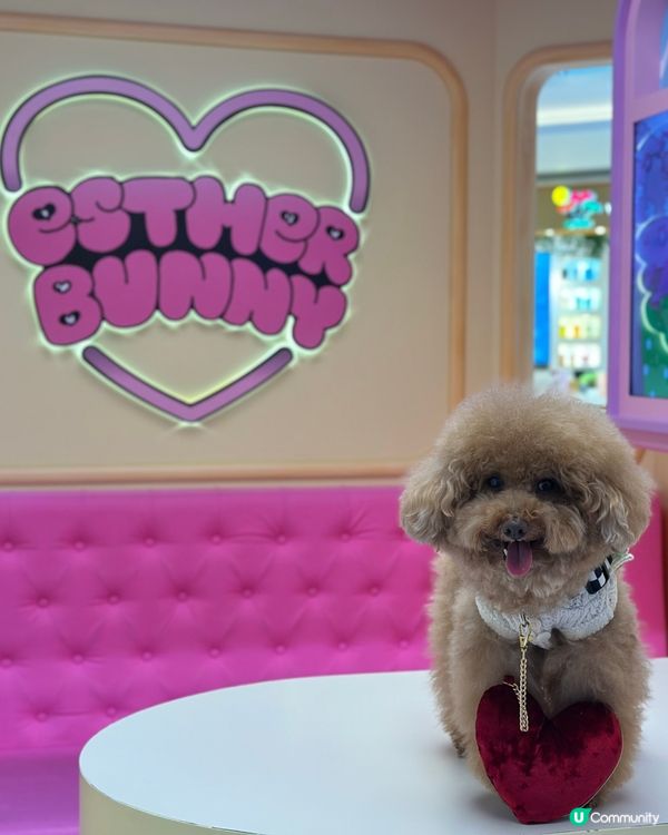 🐰新春櫻花🌸鐵道之旅