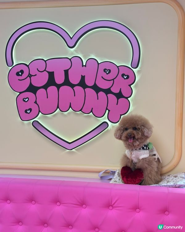 🐰新春櫻花🌸鐵道之旅