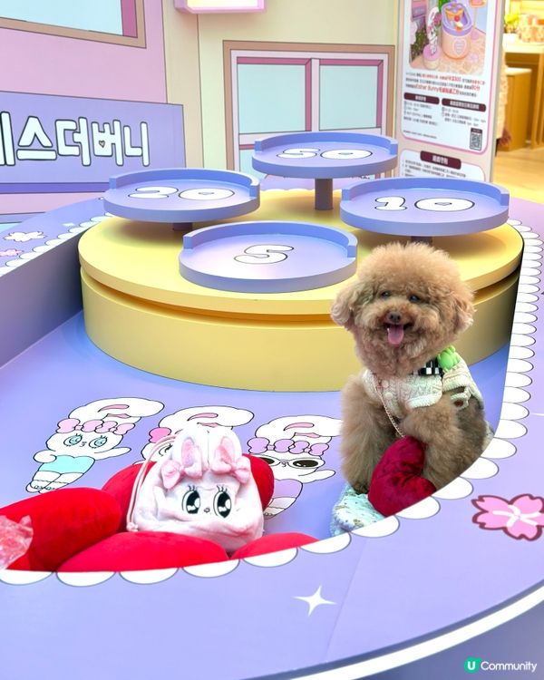 🐰新春櫻花🌸鐵道之旅