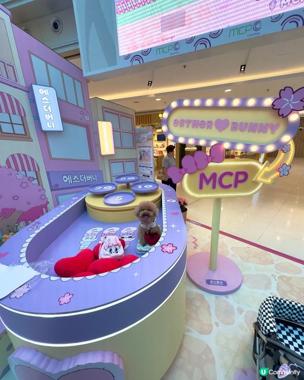 🐰新春櫻花🌸鐵道之旅