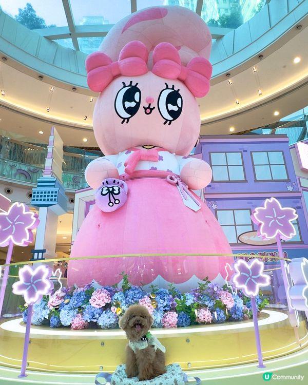 🐰新春櫻花🌸鐵道之旅