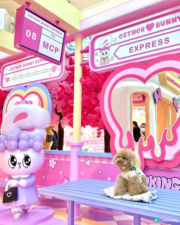 🐰新春櫻花🌸鐵道之旅