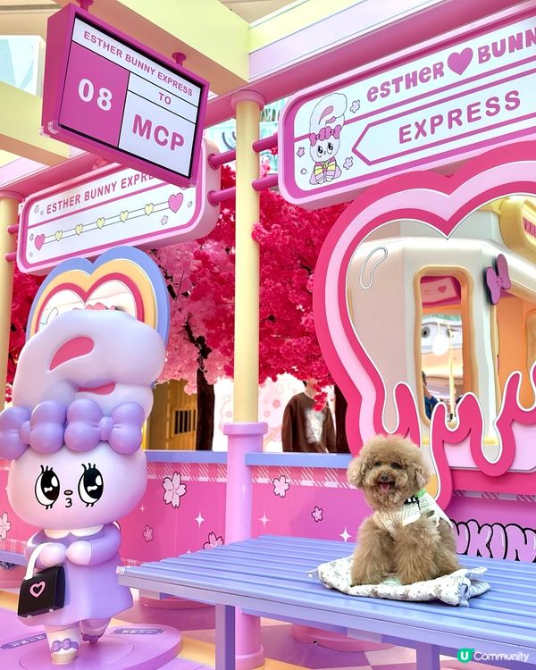 🐰新春櫻花🌸鐵道之旅