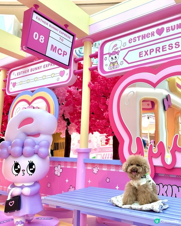 🐰新春櫻花🌸鐵道之旅