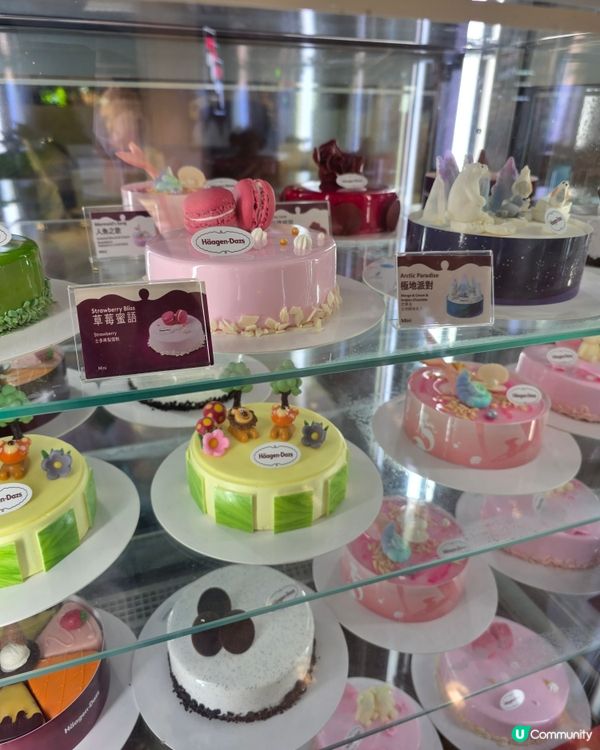 邊間Häagen-Dazs分店最好坐＆新味嚐試