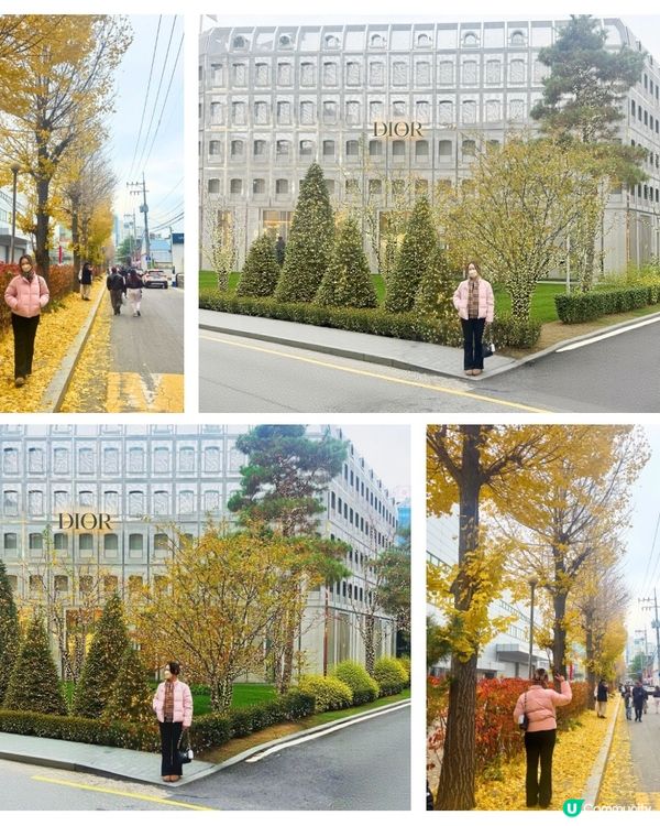 思念韓國嘅日子！🇰🇷❄️🎬