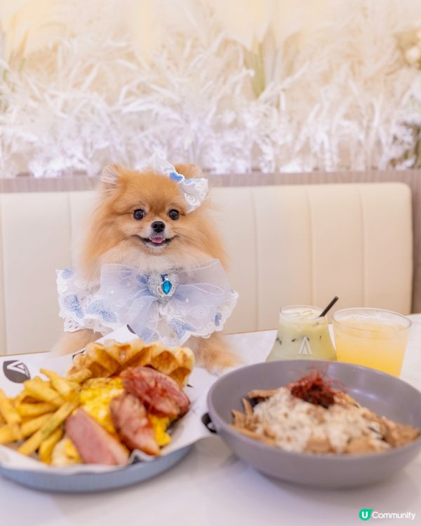 油尖旺美食天堂！☕🥐必試牛角包窩夫！✨🅿️