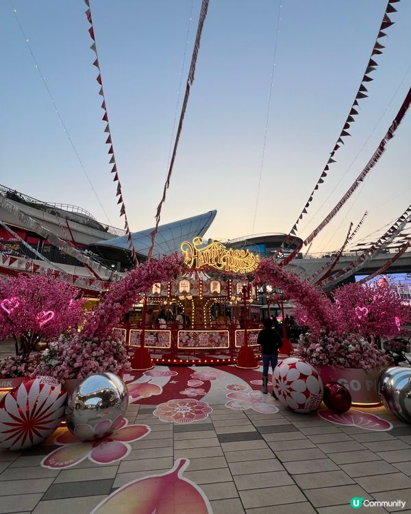 西沙Go park泰瀾鑊🔥排隊值！大頭蝦煲必叫🦐 叫🦐 
