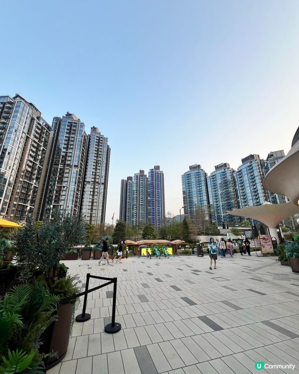 西沙Go park泰瀾鑊🔥排隊值！大頭蝦煲必叫🦐 叫🦐 