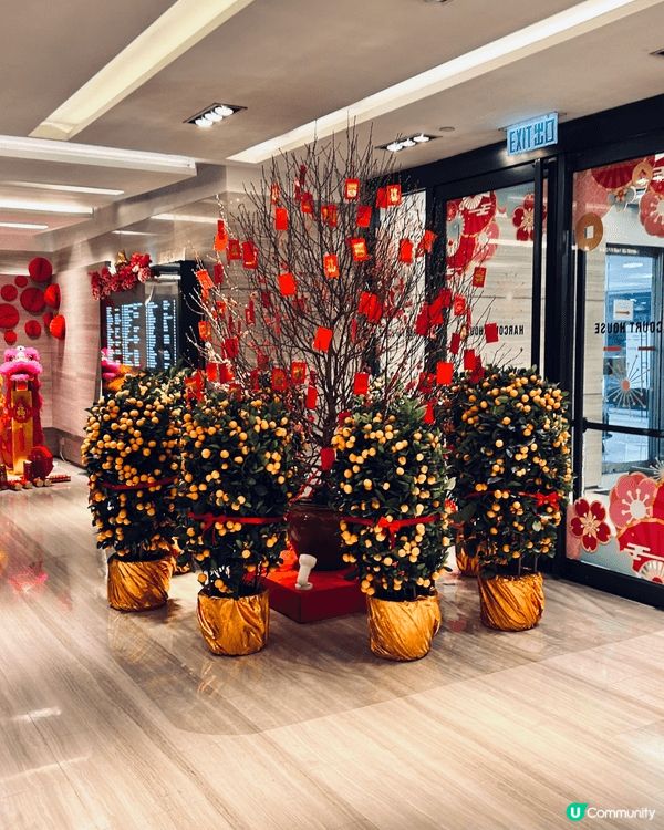 公司樓下大堂已經換好哂農暦新年嘅佈置