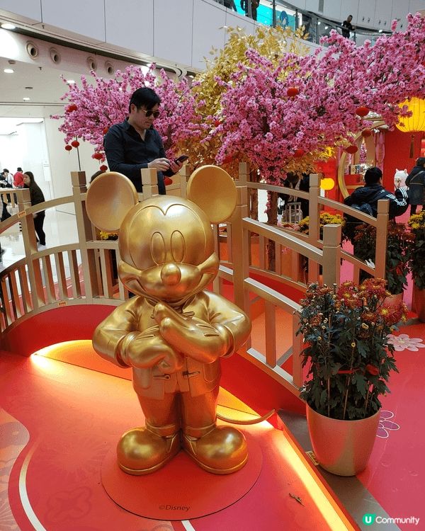 觀塘APM disney米奇老鼠，唐老鴨，高飛同大家拜年，金...