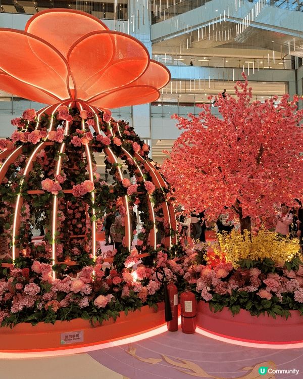 新城市廣場中庭有桃花裝飾可以打卡及轉風車，趁平日人流不多我可...