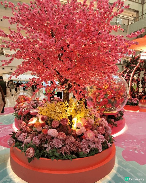 新城市廣場中庭有桃花裝飾可以打卡及轉風車，趁平日人流不多我可...