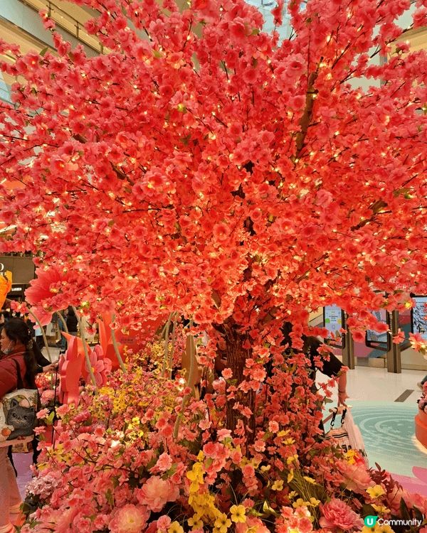 新城市廣場中庭有桃花裝飾可以打卡及轉風車，趁平日人流不多我可...