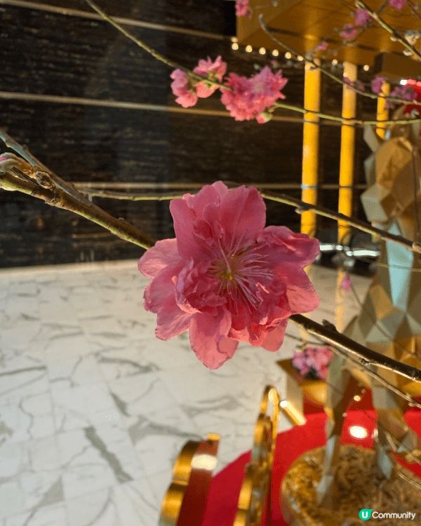 又係辣媽好介紹！ AIA Central 的馬年新春佈置又幾...
