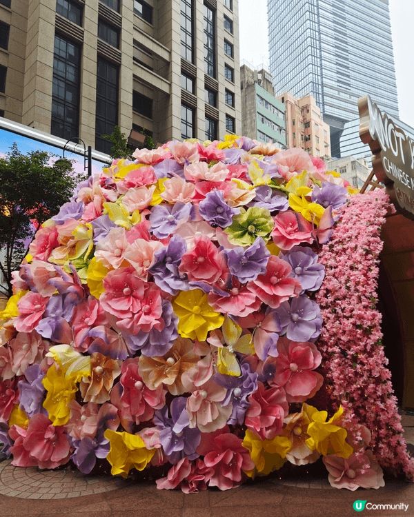 時代廣場馬年花花裝飾，好浪漫！ 由＜KNOT KNOT HA...