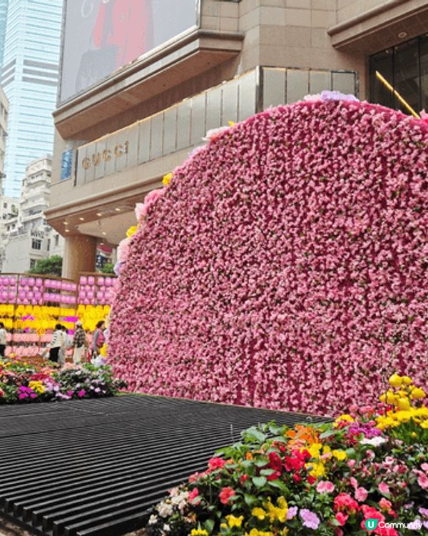 時代廣場馬年花花裝飾，好浪漫！ 由＜KNOT KNOT HA...