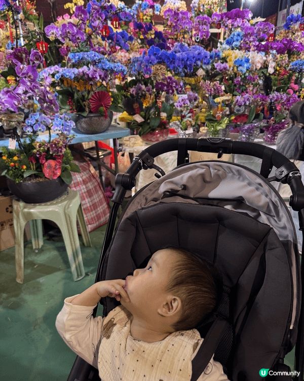 BB第一次行花市