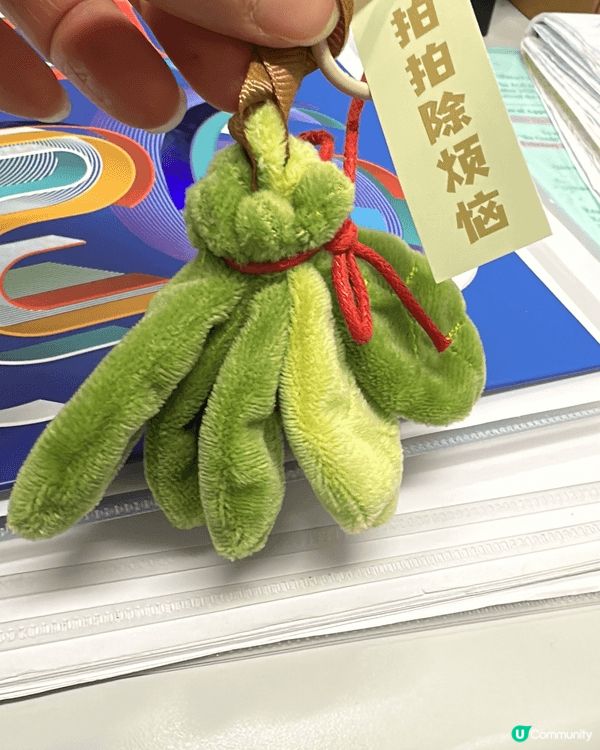 Q版look 柚葉掛飾，掛袋去霉氣，好運自然來。