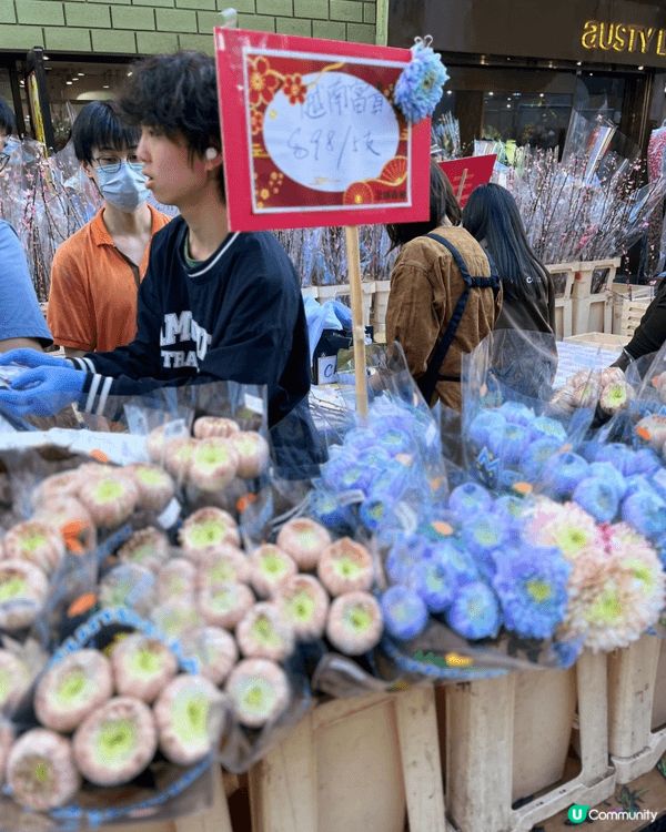 《旺角花墟公園年宵花市》係九龍區好熱門、好有氣氛嘅新年花市，...