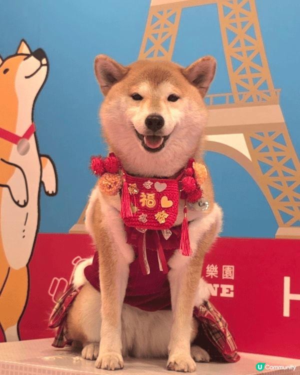 我哋參加咗北角匯嘅「新春福寵新LOOK派對」好好玩喎. 我整...