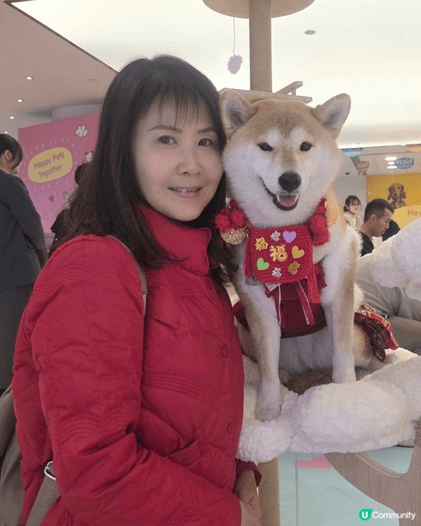 我哋參加咗北角匯嘅「新春福寵新LOOK派對」好好玩喎. 我整...