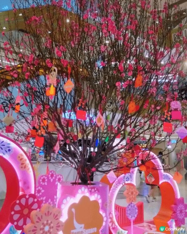 #馬年新氣象      沙田Home Square 今年的桃...